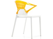 ���������� CG-lRis