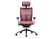 Mesh Executive Chair CG-A899F